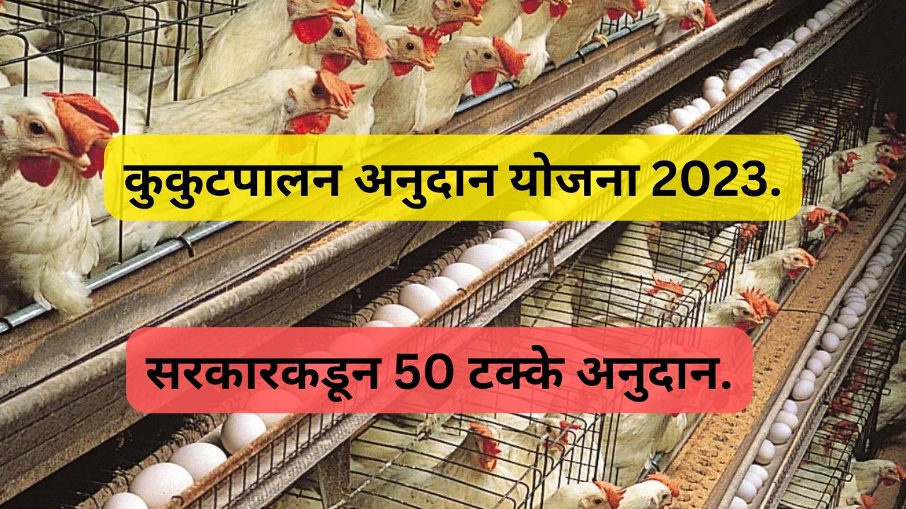  Kukkut Palan Yojana 2023 | कुकुटपालन अनुदान योजना 2023.